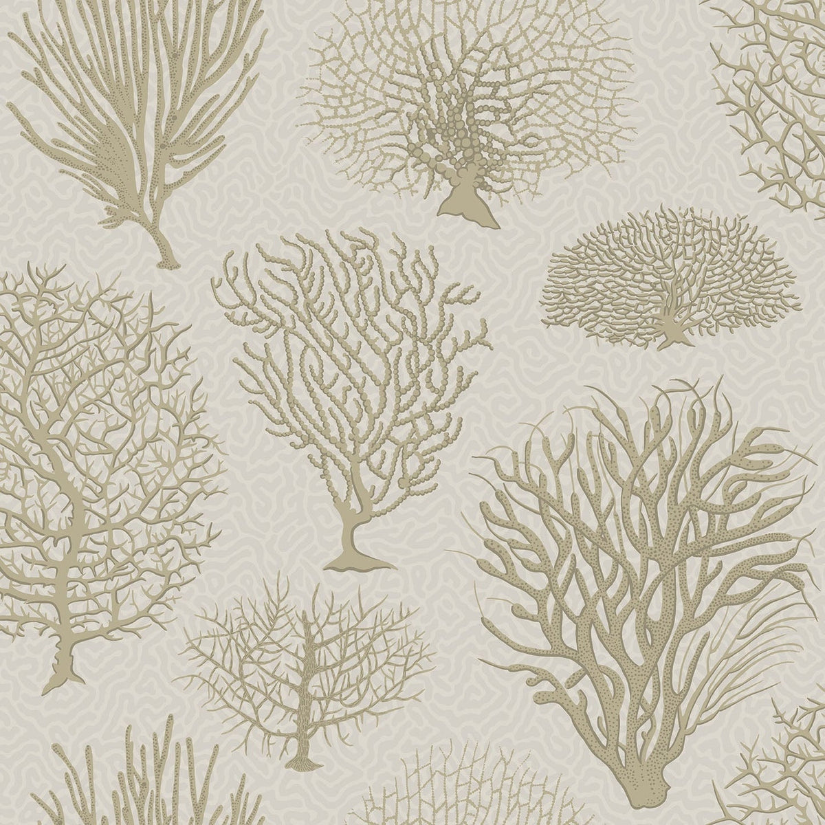 Cole & Son Seafern, Metallic Gilver on Stone, 107/2010