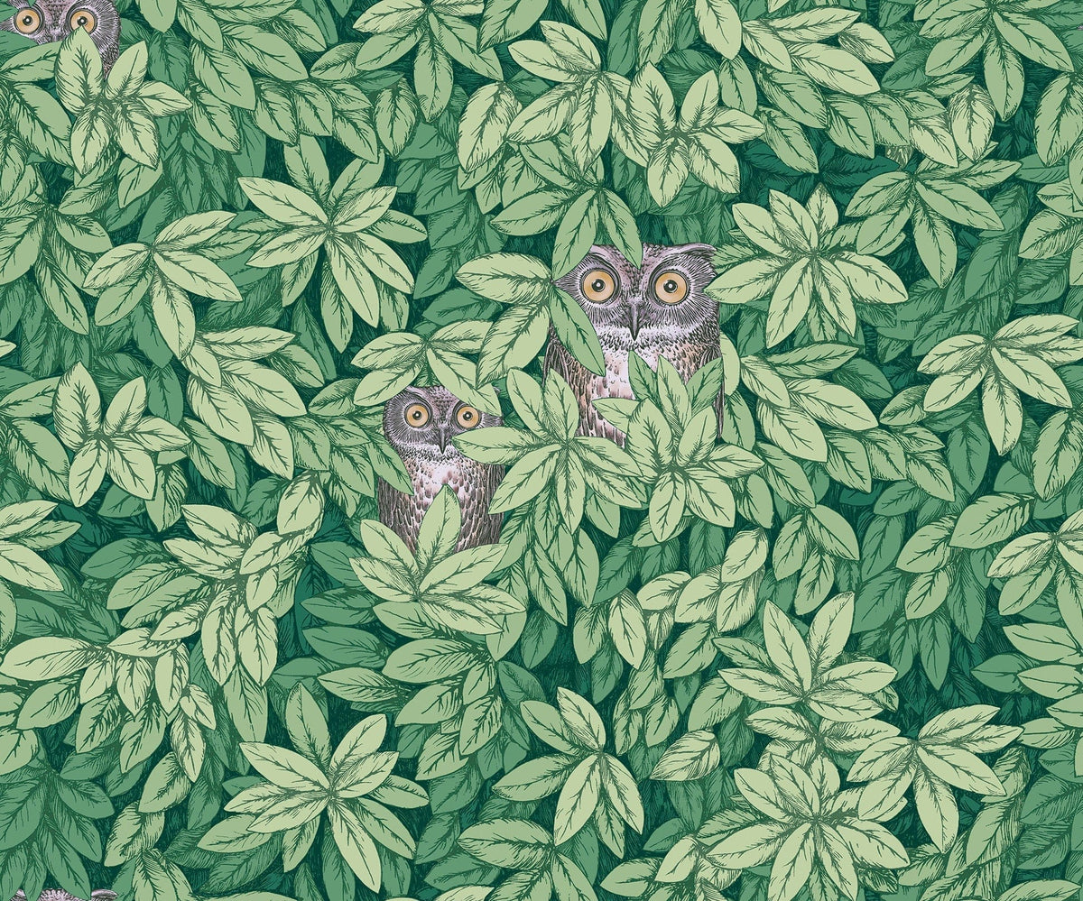 Cole & Son Fornasetti Foglie e Civette Forest Green – Tapete