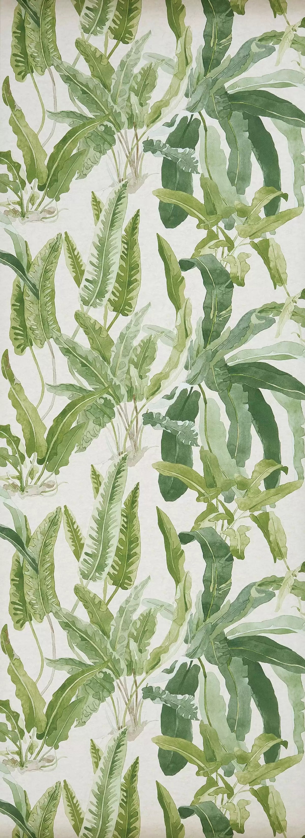 Nina Campbell Benmore – Green / Ivory – NCW4393-02