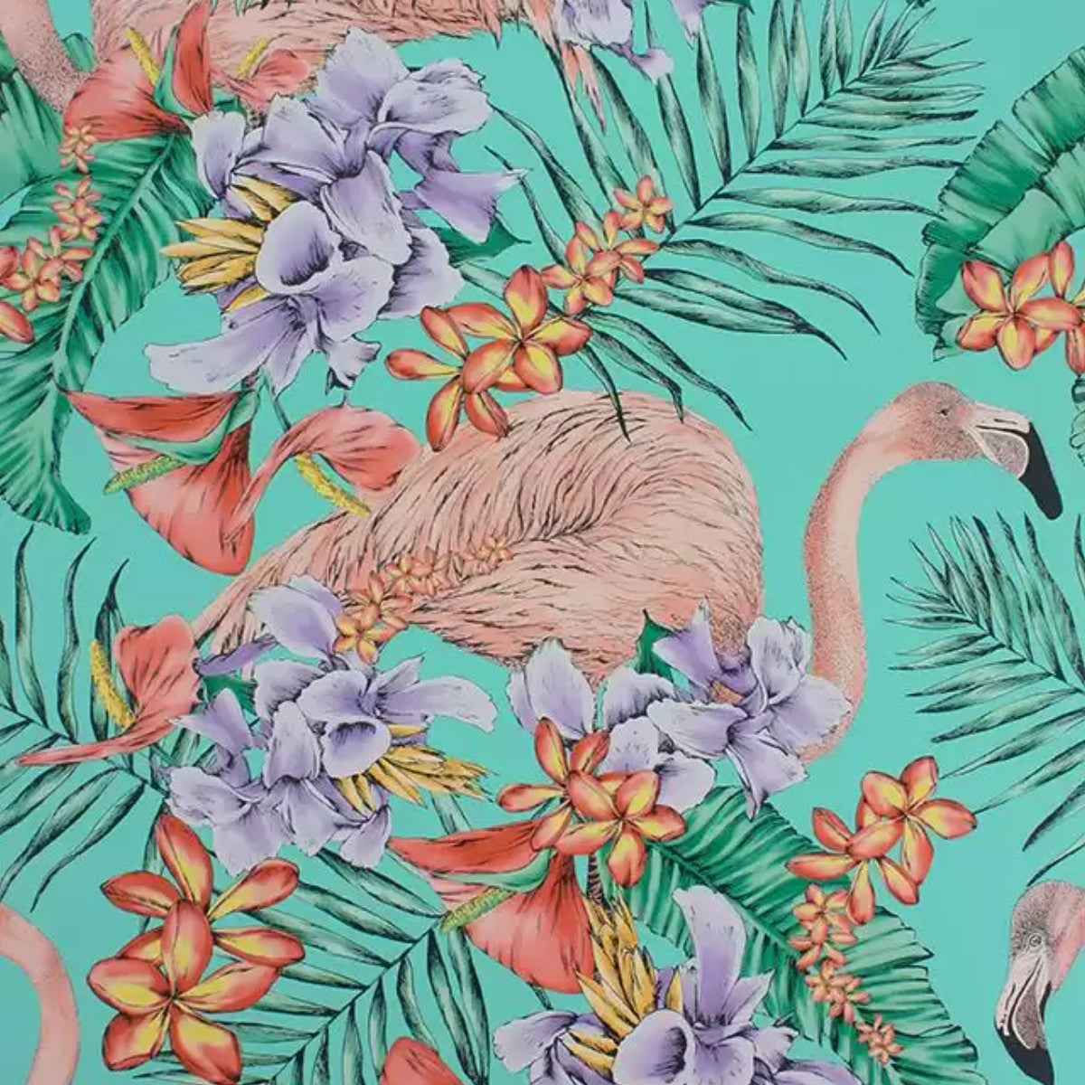 Osborne & Little Flamingo Club Tapete, Farbvariante W6800-01