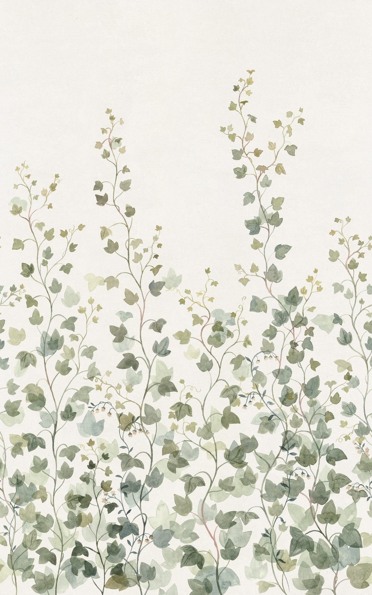 Sandberg Fototapete Ivy S10484 – Tapetenmuster