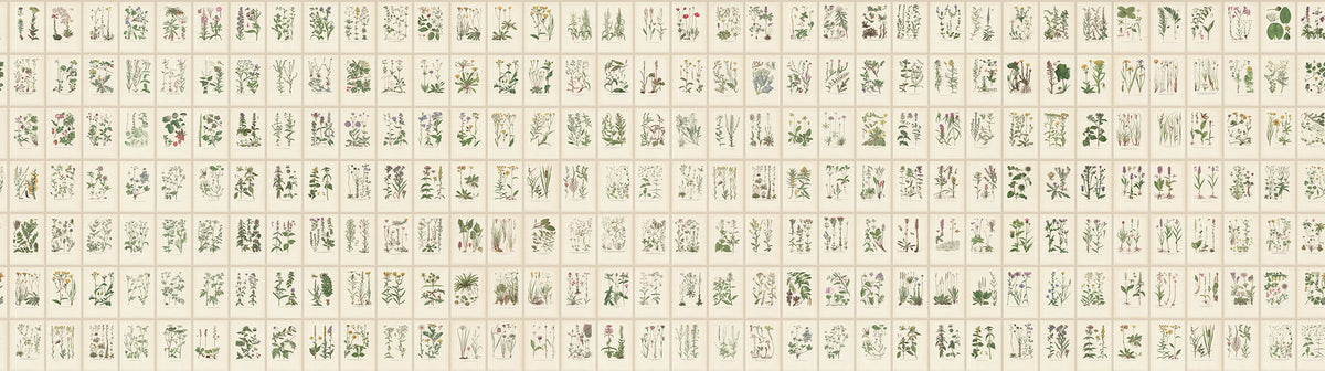 Sandberg Fototapete Botanica S10508 – Tapetenmuster