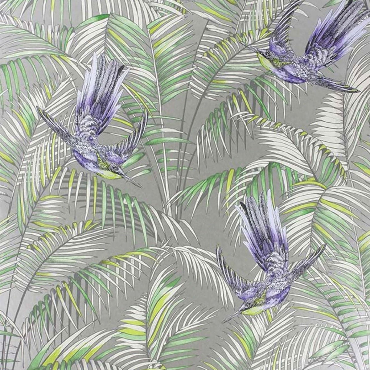 Matthew Williamson Sunbird Tapete – Farbvariante W6543-01