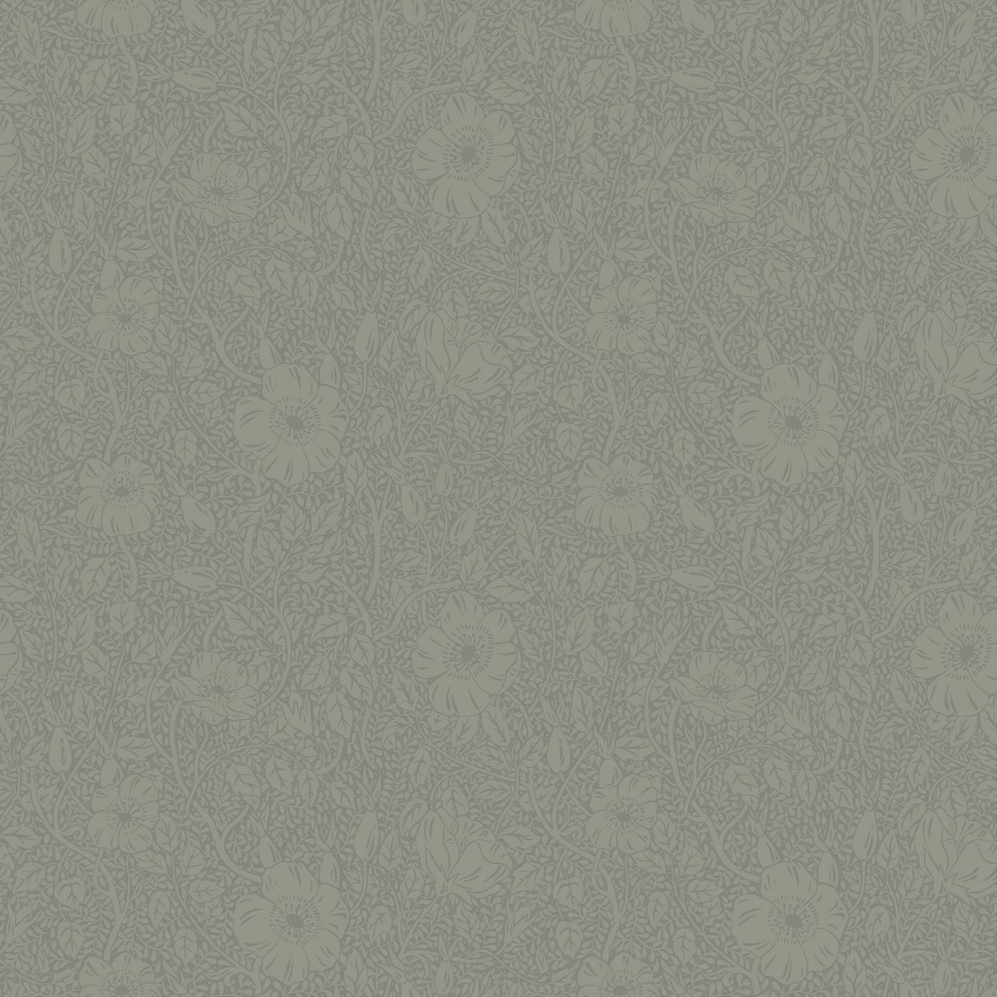 Sandberg - wallpaper Anton