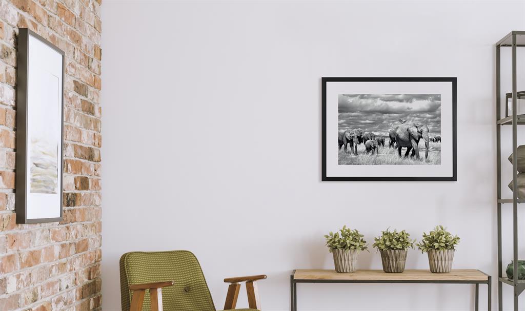 Brookpace Fine Art - Elephants of Kenya-Wandbild-Brookpace Lascelles-TOJU Interior