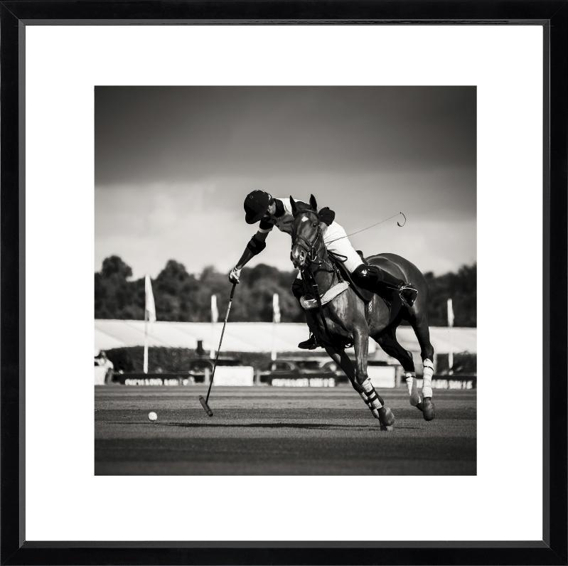 Brookpace Fine Art - POLO I-Wandbild-Brookpace Lascelles-Studio / Lackrahmen schwarz-TOJU Interior