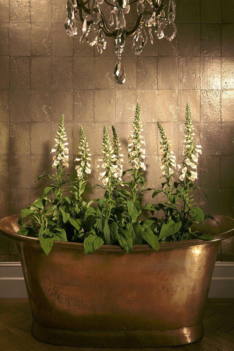 Cole and Son - Tapete Antique Mirror Wallpaper-Tapeten-Cole & Son-TOJU Interior