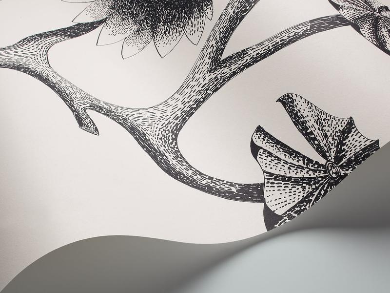 Cole and Son - Tapete Lily Wallpaper-Tapeten-Cole & Son-Black auf White S95/4020-TOJU Interior