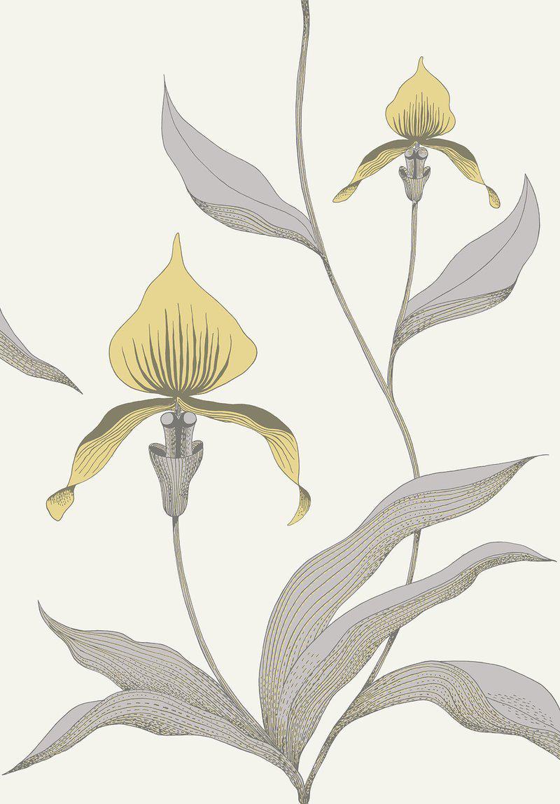 Cole and Son - Tapete Orchid Wallpaper-Tapeten-Cole & Son-TOJU Interior