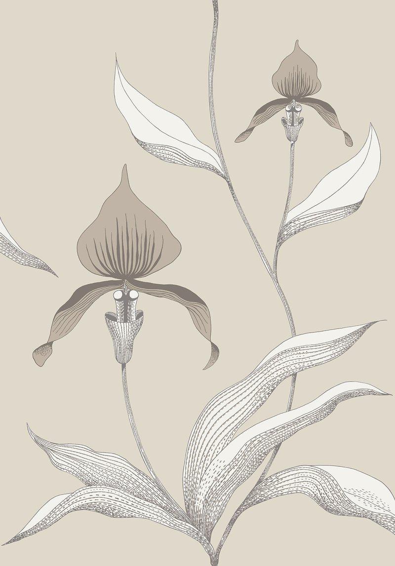 Cole and Son - Tapete Orchid Wallpaper-Tapeten-Cole & Son-TOJU Interior