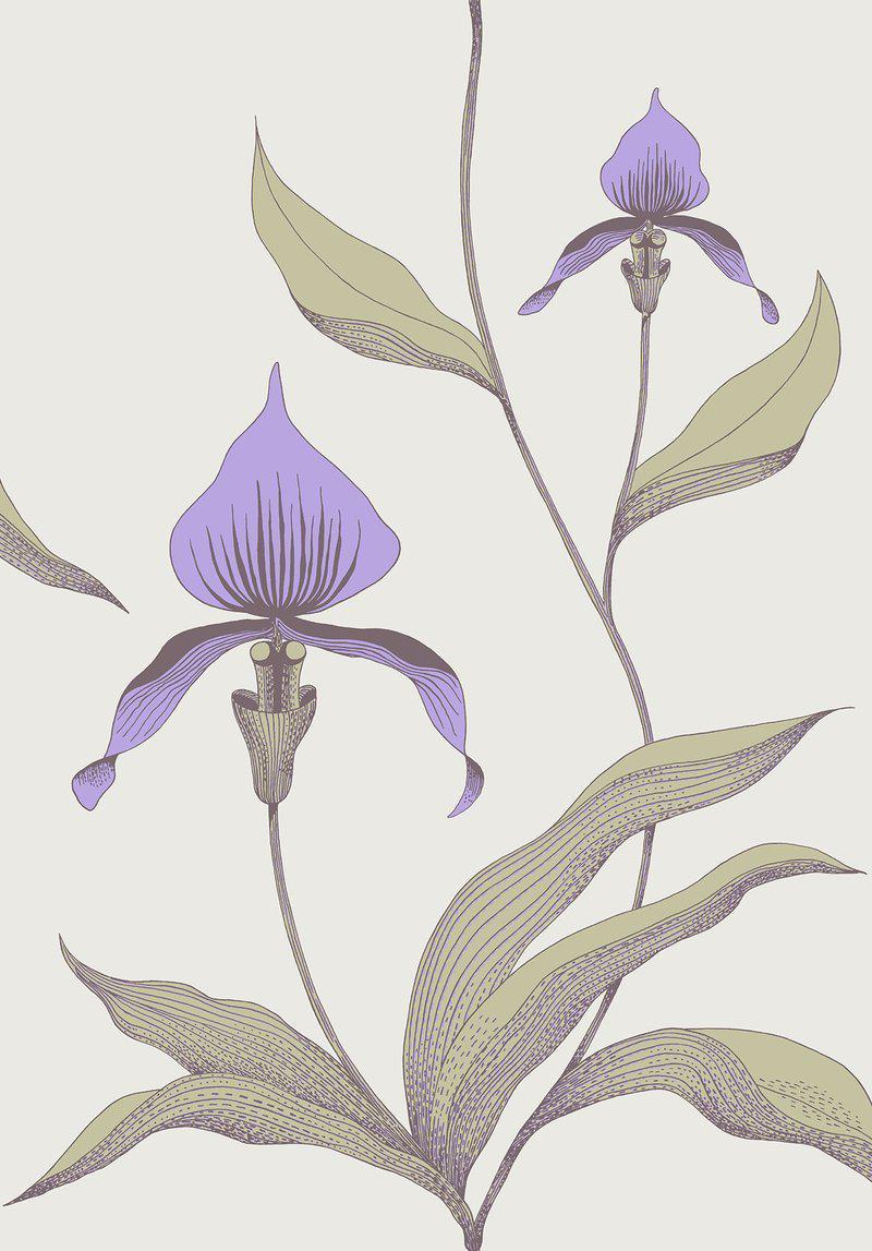 Cole and Son - Tapete Orchid Wallpaper-Tapeten-Cole & Son-TOJU Interior