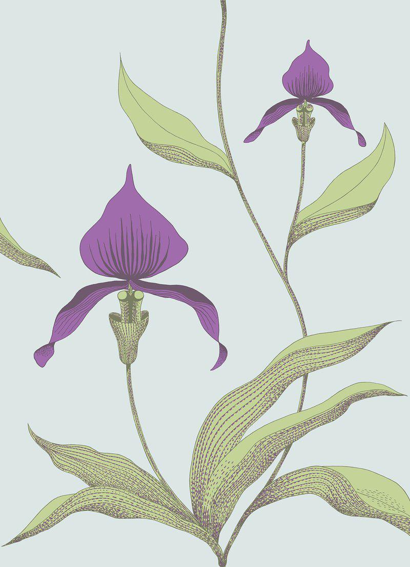 Cole and Son - Tapete Orchid Wallpaper-Tapeten-Cole & Son-TOJU Interior