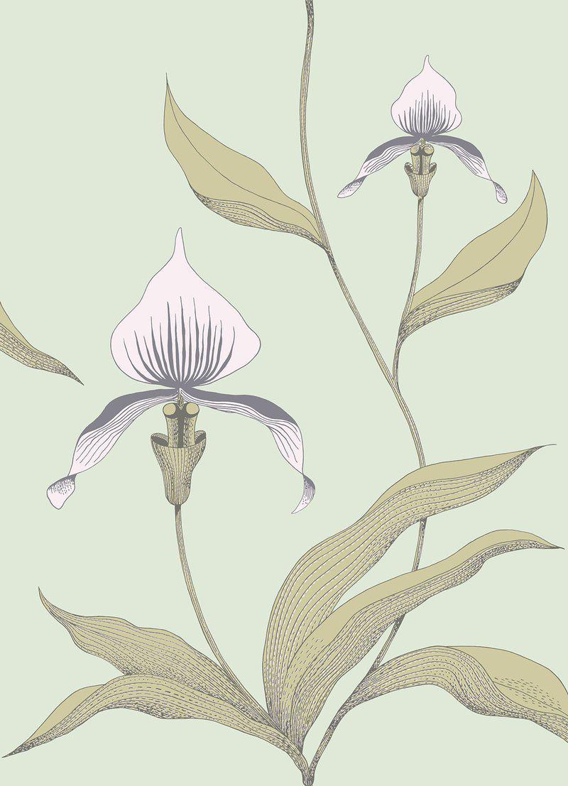 Cole and Son - Tapete Orchid Wallpaper-Tapeten-Cole & Son-TOJU Interior