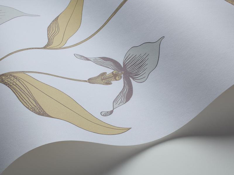Cole and Son - Tapete Orchid Wallpaper-Tapeten-Cole & Son-Ice Blue & Old Olive 66/4026-TOJU Interior