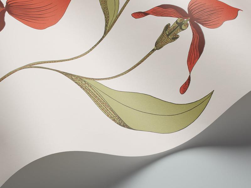 Cole and Son - Tapete Orchid Wallpaper-Tapeten-Cole & Son-Rouge & Olive 95/10054-TOJU Interior