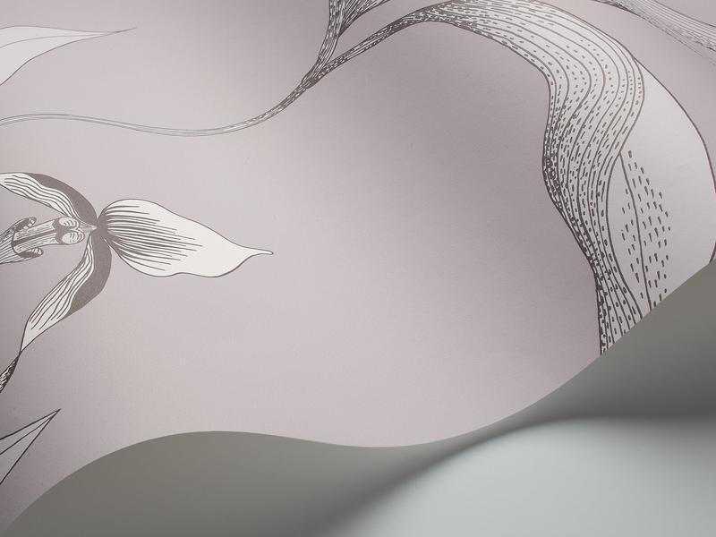 Cole and Son - Tapete Orchid Wallpaper-Tapeten-Cole & Son-White & Shell 95/10055-TOJU Interior