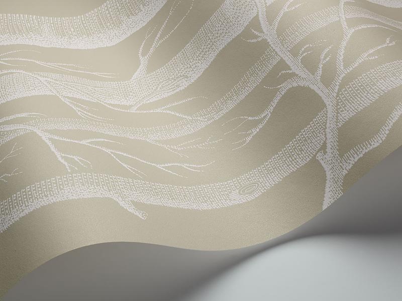 Cole and Son - Tapete Woods Wallpaper-Tapeten-Cole & Son-White on Old Olive 69/12149-TOJU Interior