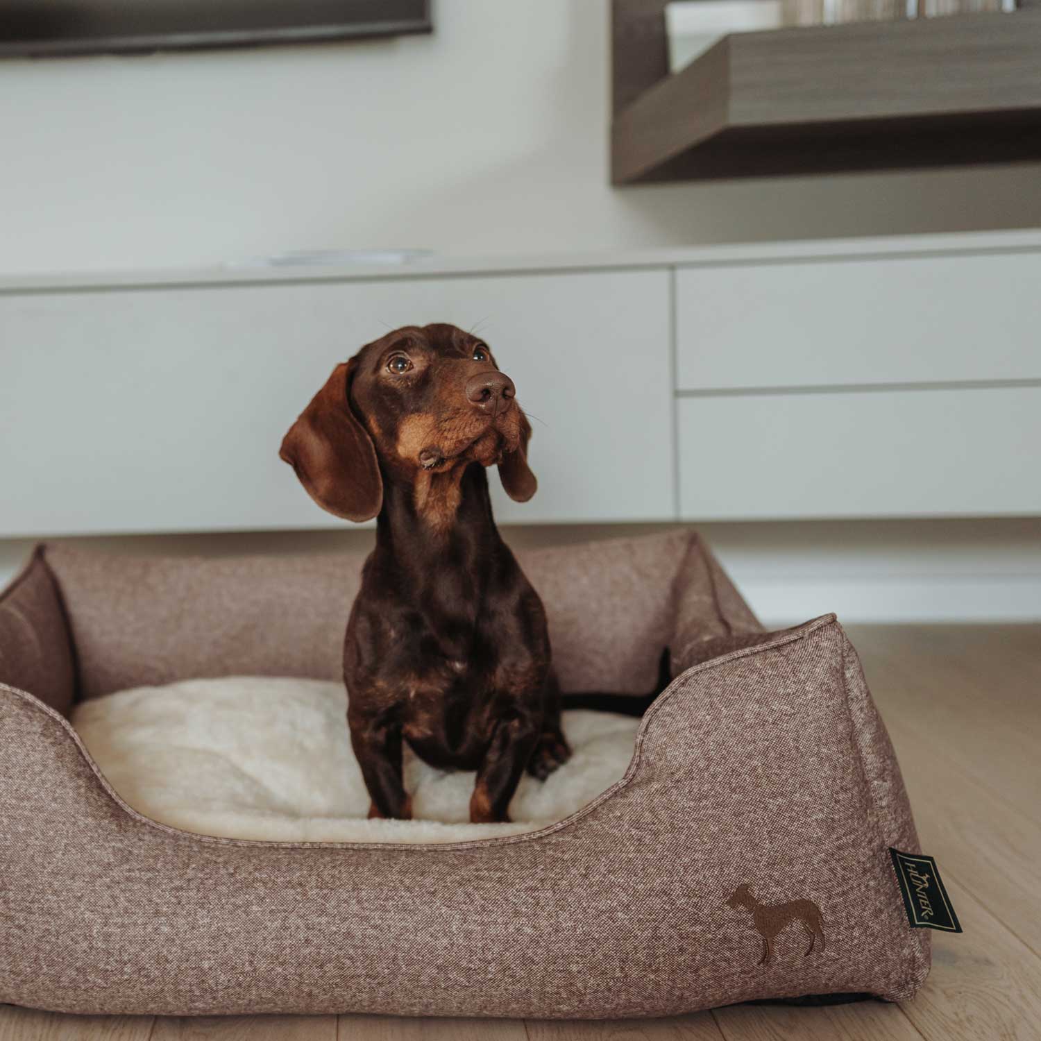 Hunter - Hundesofa Boston Cozy-Hundebetten-Hunter-TOJU Interior