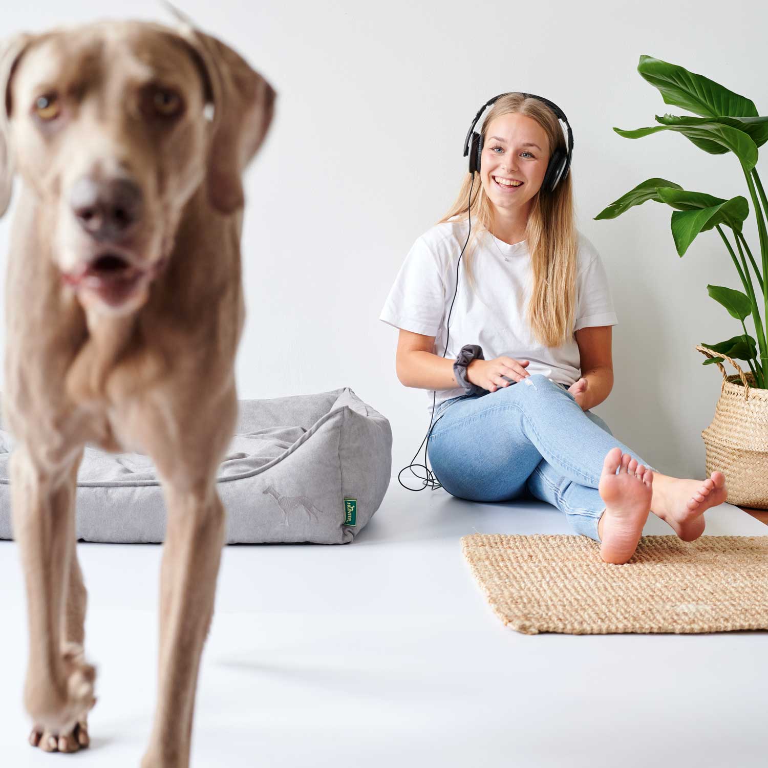 Hunter - Hundesofa Eiby-Hundebetten-Hunter-TOJU Interior