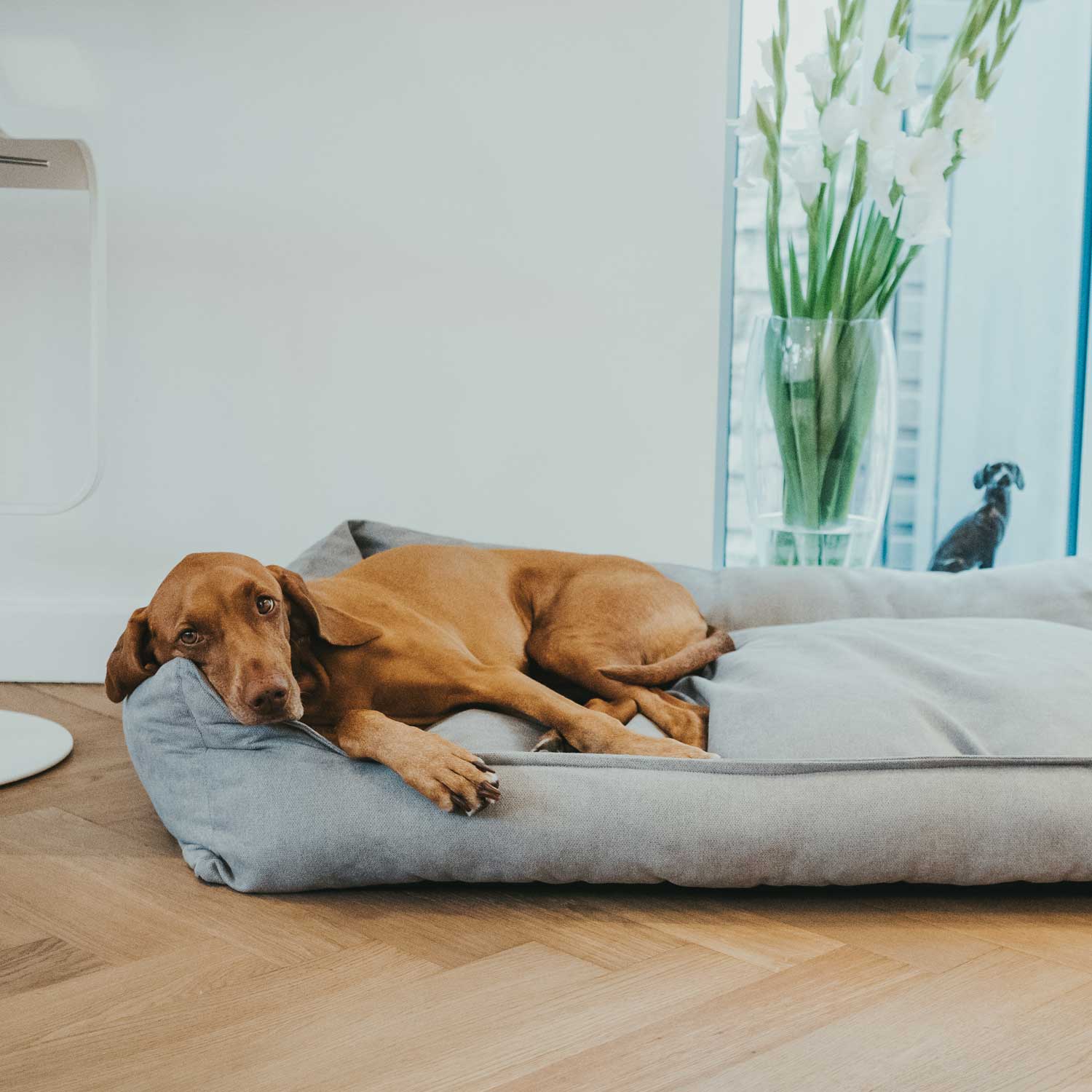 Hunter - Hundesofa Eiby-Hundebetten-Hunter-TOJU Interior