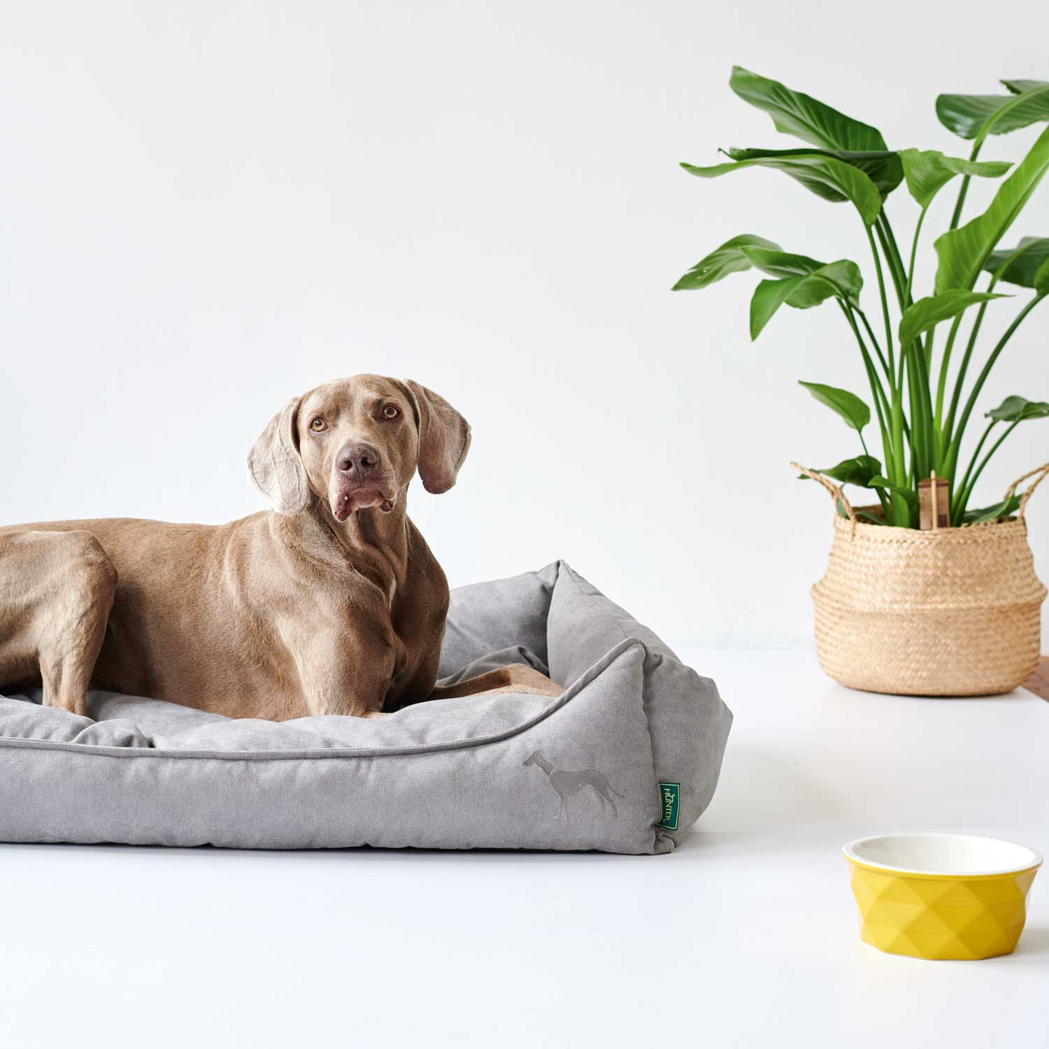 Hunter - Hundesofa Eiby-Hundebetten-Hunter-TOJU Interior