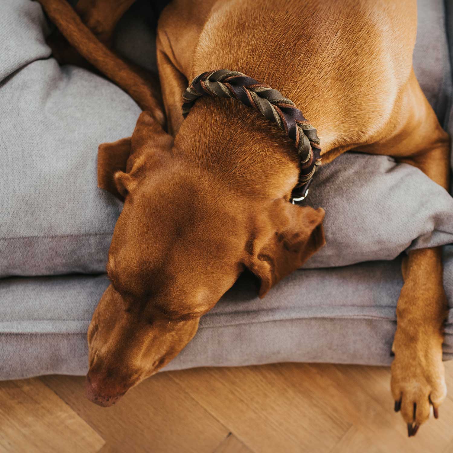 Hunter - Hundesofa Eiby-Hundebetten-Hunter-TOJU Interior