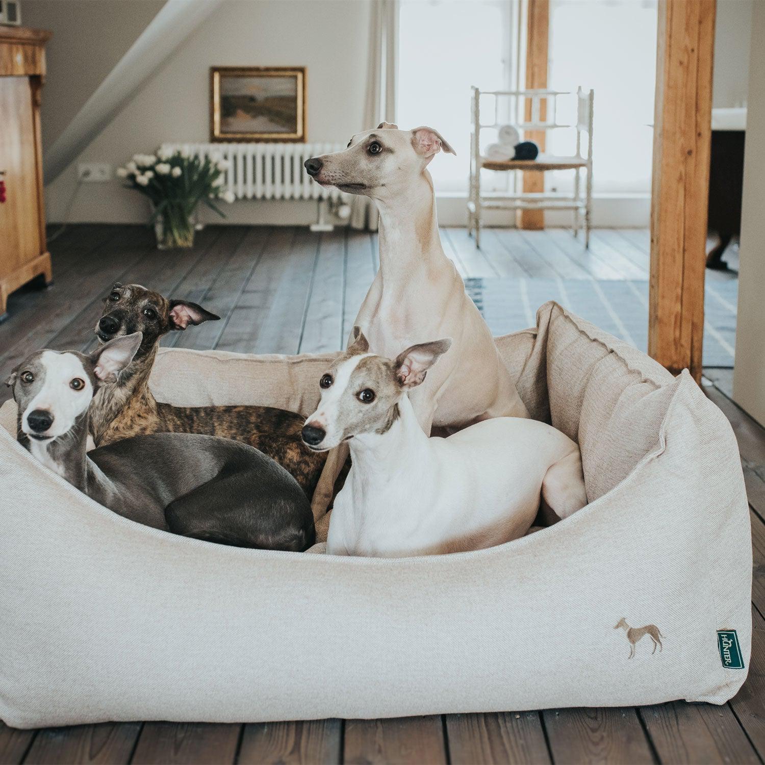 Hunter - Hundesofa Livingston-Hundebetten-Hunter-TOJU Interior