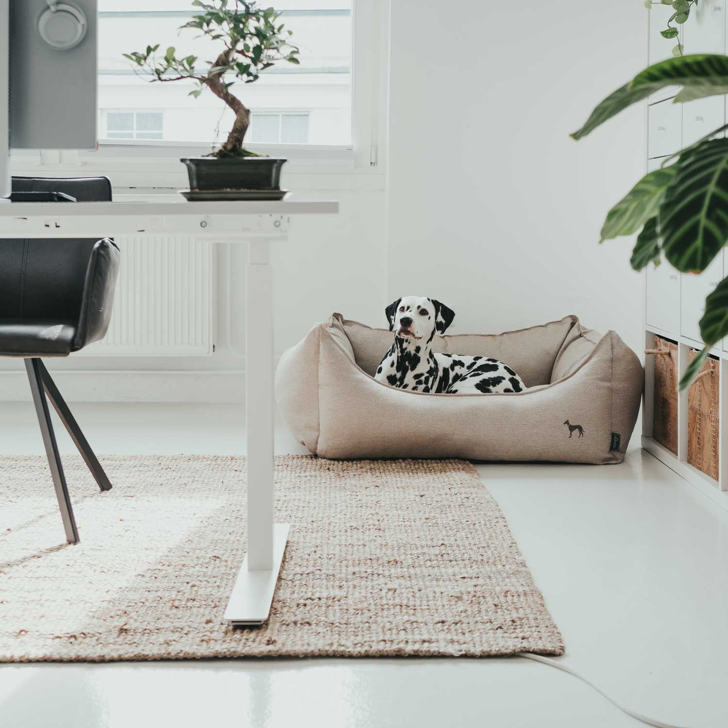 Hunter - Hundesofa Livingston-Hundebetten-Hunter-TOJU Interior