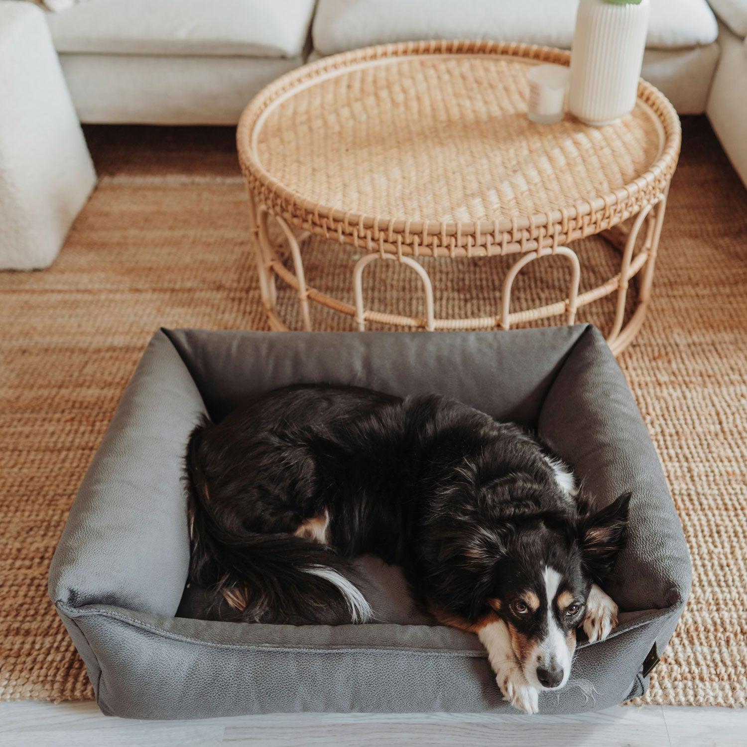 Hunter - Orthopädisches Hundesofa Merida-Hundebetten-Hunter-TOJU Interior