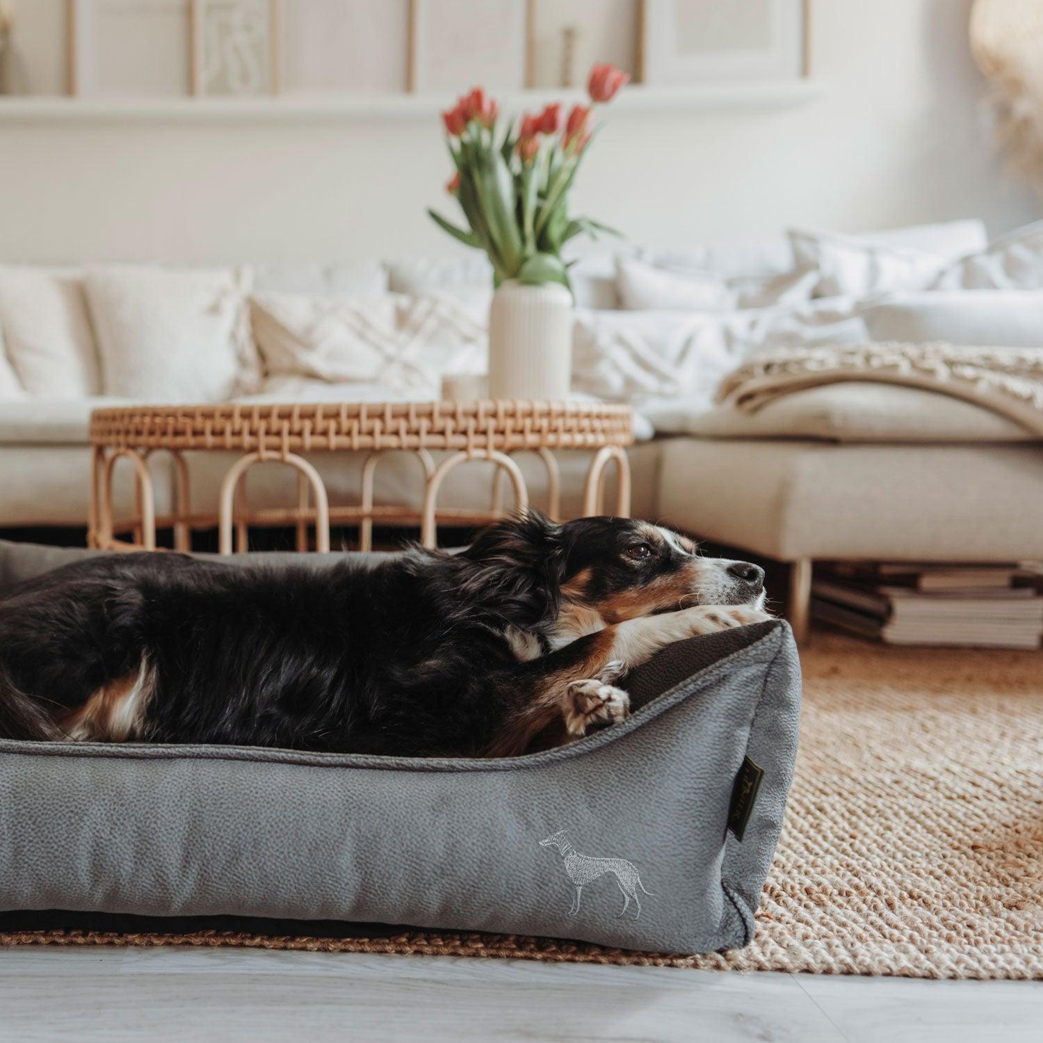 Hunter - Orthopädisches Hundesofa Merida-Hundebetten-Hunter-TOJU Interior