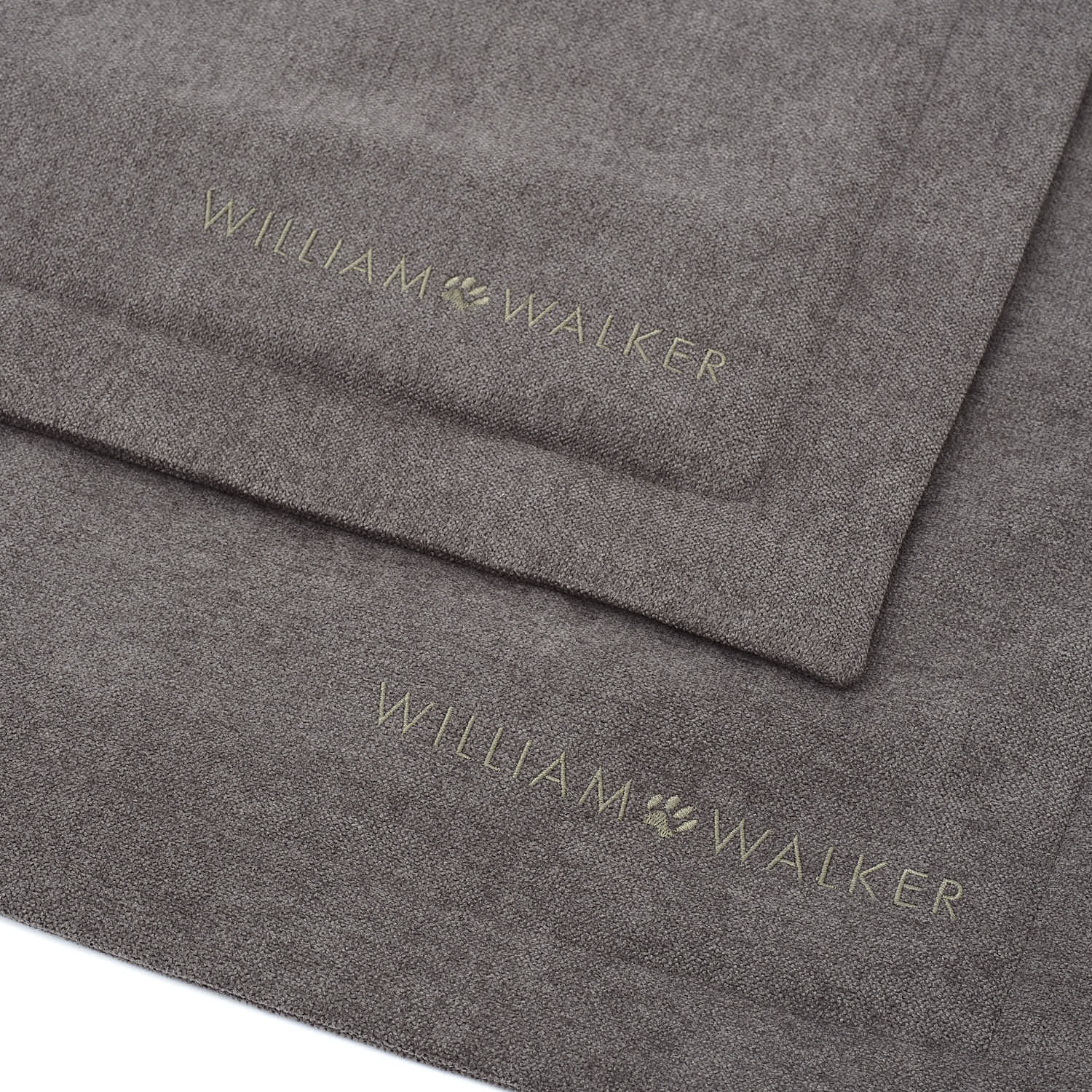 William Walker - Hundedecke Dive-Hundedecke-William Walker-TOJU Interior