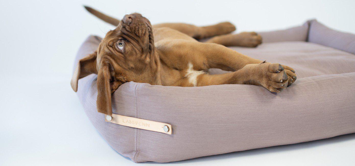 Labbvenn - Hundebett Stokke-Hundebett-Labbvenn-TOJU Interior