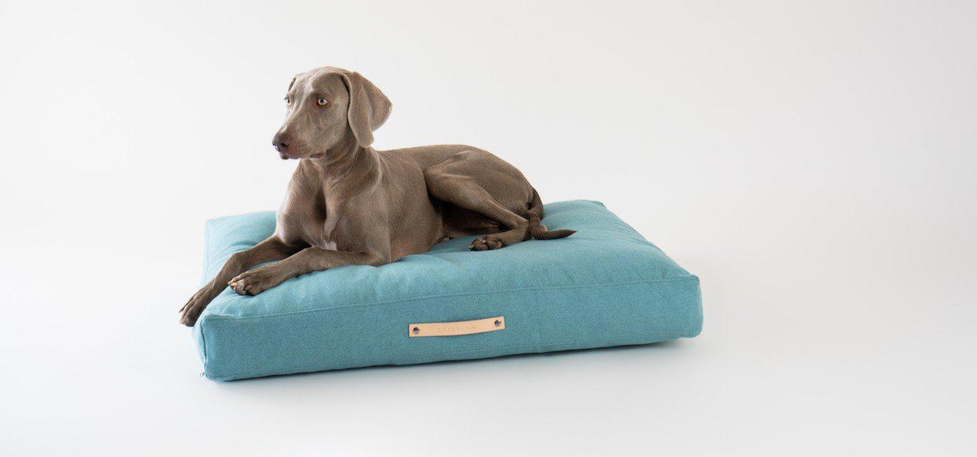 Labbvenn - Hundekissen Kopenhagen-Hundekissen-Labbvenn-TOJU Interior