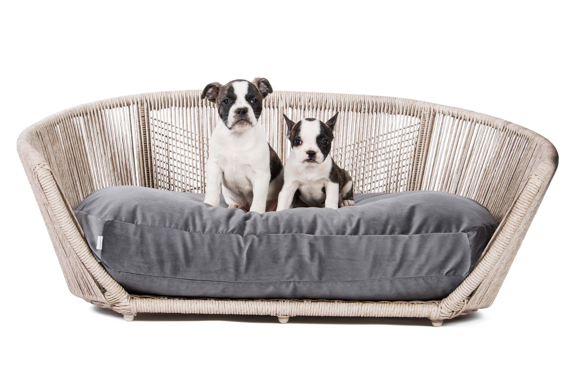 Laboni - Vogue - Design-Hundebett Oxford-Hundebett-Laboni-Anthrazit-TOJU Interior