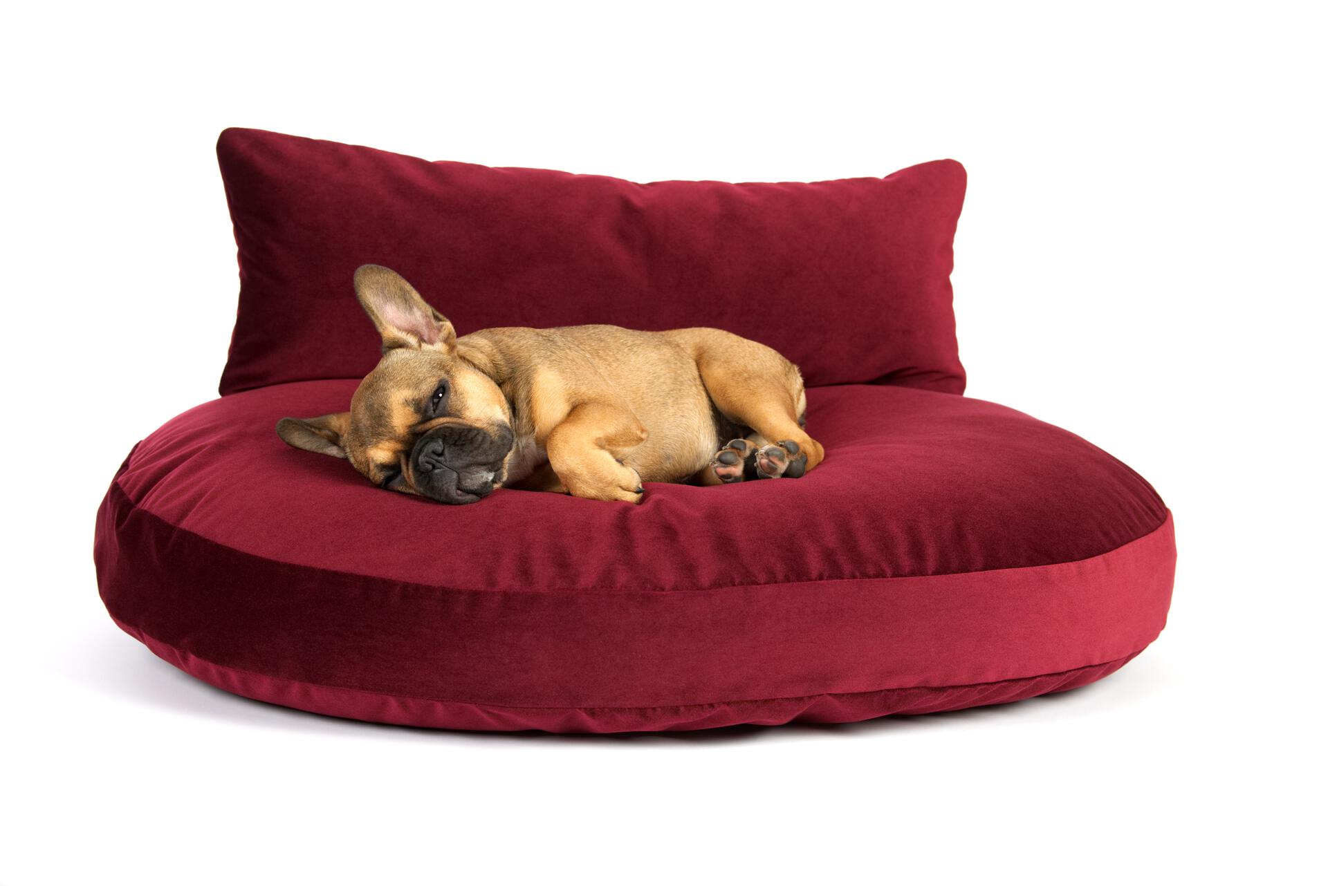 Laboni - Vogue - Design-Hundebett Oxford-Hundebett-Laboni-TOJU Interior